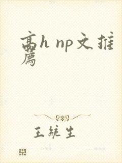 高h np文推荐