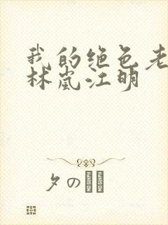 我的绝色老板娘林岚江明