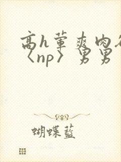 高h荤爽肉欲文〈np〉男男