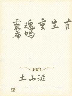 灵魂重生有特别篇吗