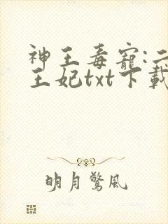 神王毒宠:二嫁王妃txt下载