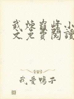 武炼巅峰小说全文免费阅读无弹窗