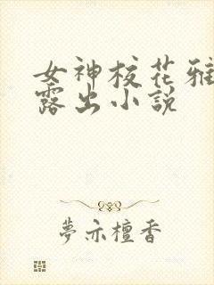 女神校花雅婷的露出小说封面