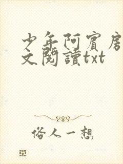 少年阿宾房东全文阅读txt