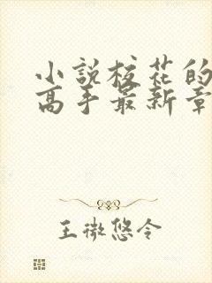 小说校花的贴身高手最新章节列表最