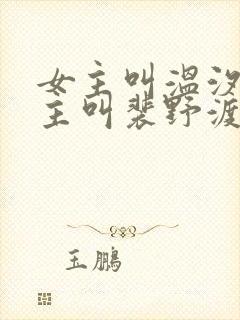 女主叫温汐月男主叫裴野渡的小说叫什么