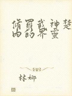 修罗武神楚枫体内的界灵封面