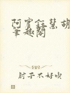 阿宾钰慧胡先生笔趣阁