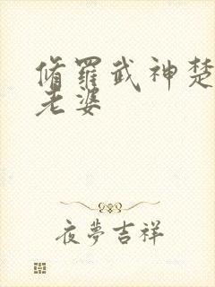 修罗武神楚枫的老婆封面