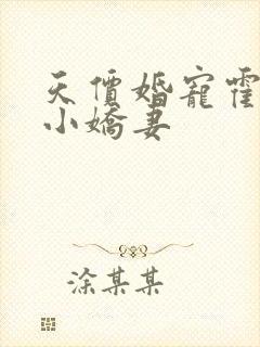 天价婚宠霍总的小娇妻封面