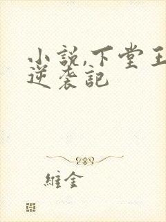 小说,下堂王妃逆袭记