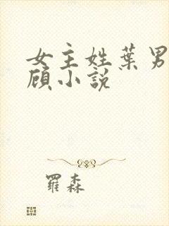 女主姓叶男主姓顾小说