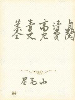 叶青高清月小说全文免费阅读笔趣阁