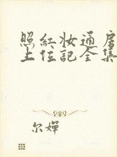 照红妆通房丫鬟上位记全集封面