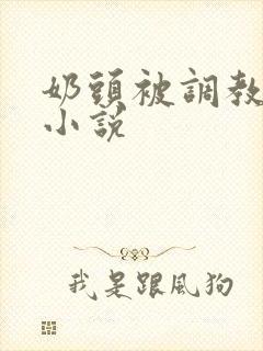 奶头被调教大的小说封面