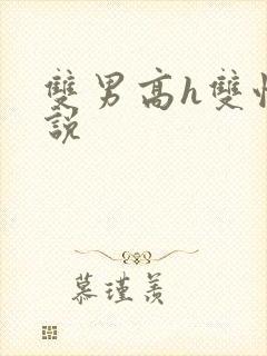 双男高h双性小说