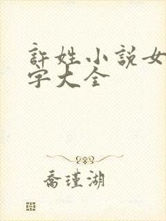 许姓小说女主名字大全封面