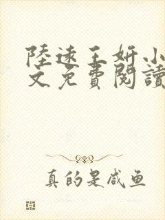 陆远王妍小说全文免费阅读