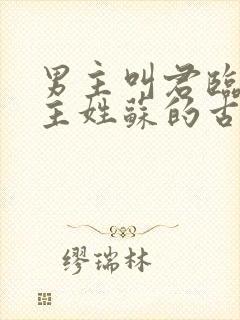 男主叫君临渊女主姓苏的古言小说