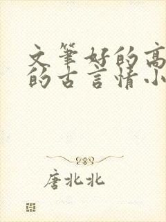 文笔好的高质量的古言情小说推荐