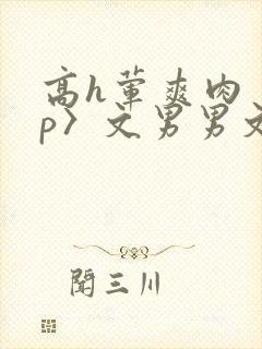 高h荤爽肉〈np〉文男男文