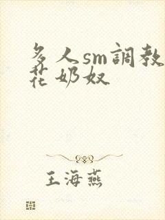 多人sm调教校花奶奴封面