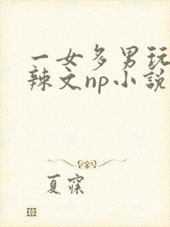 一女多男玩弄h辣文np小说