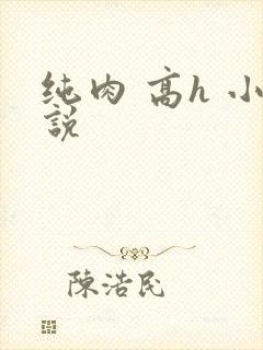纯肉 高h 小说