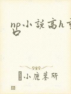np小说高h重口