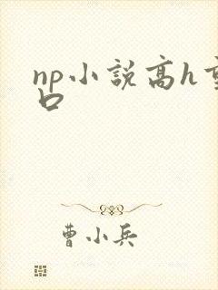 np小说高h重口