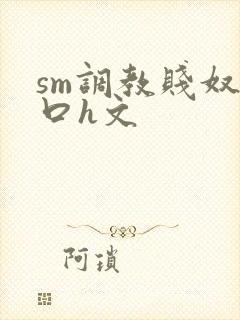 sm调教贱奴重口h文
