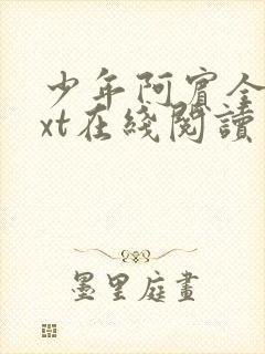 少年阿宾全集txt在线阅读封面