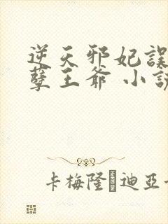 逆天邪妃误惹妖孽王爷 小说