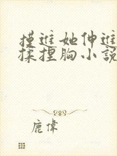 摸进她伸进内衣揉捏胸小说