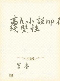 高h小说np在线双性