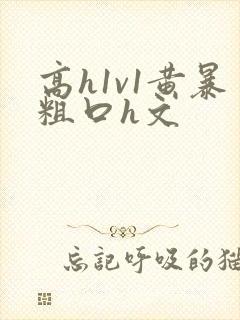 高h1v1黄暴粗口h文