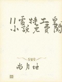 11处特工皇妃小说免费阅读