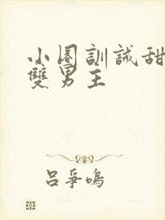 小圈训诫甜宠文双男主