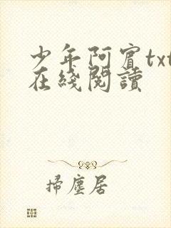 少年阿宾txt在线阅读