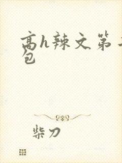 高h辣文第二书包