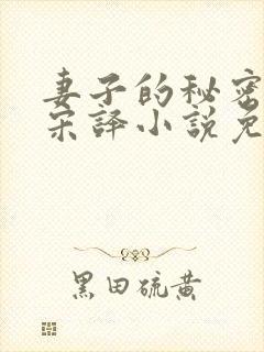 妻子的秘密林凡宋译小说免费阅读最封面