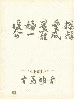 暖婚蜜爱总裁老公一宠成瘾