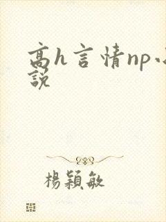 高h言情np小说