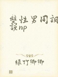 双性男同调教小说np