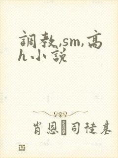 调教,sm,高h小说