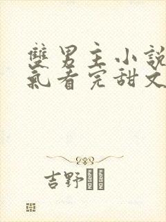 双男主小说一口气看完甜文