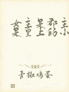 女主是郡主舅舅是皇上的小说