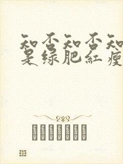 知否知否知否应是绿肥红瘦免费观看高清封面