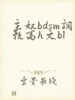 主奴bdsm调教高h文bl封面