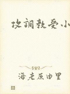 攻调教受小说